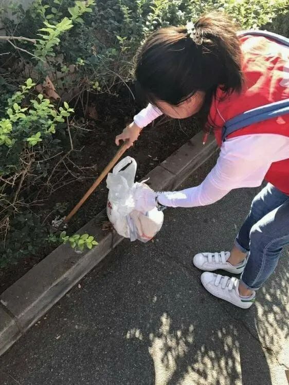 我的返家乡实践故事绿色践行环保有我